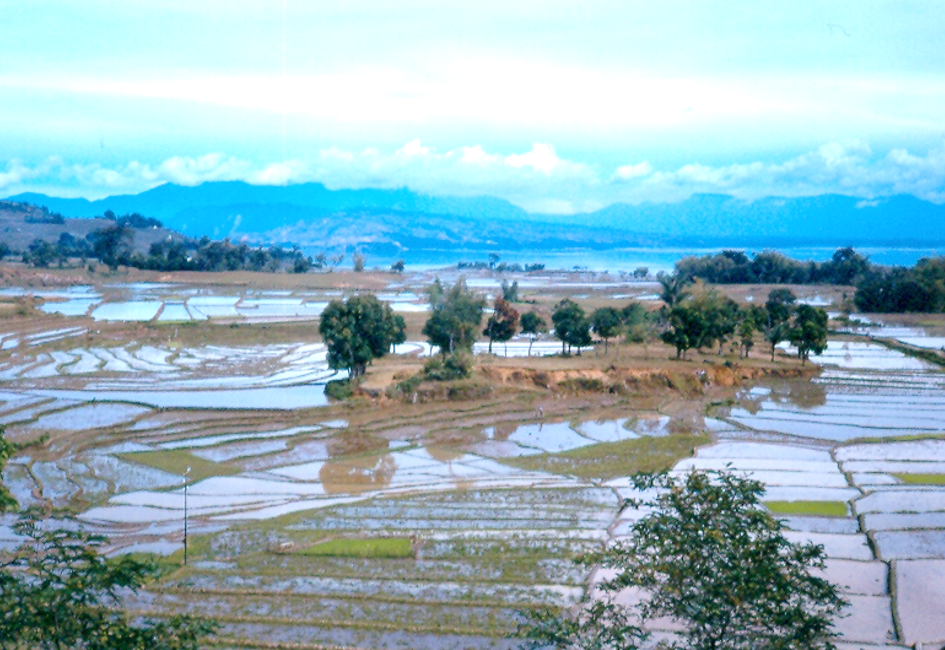 toba`
